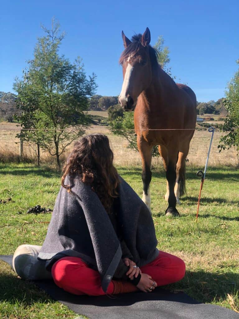 Heart of the Horse 4