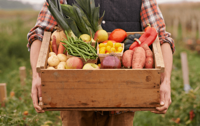 Transform Gros Morne Retreats 3