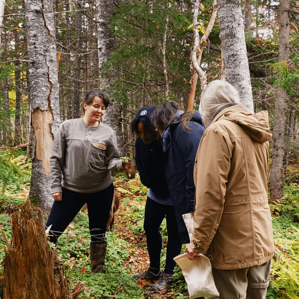 Transform Gros Morne Retreats 4