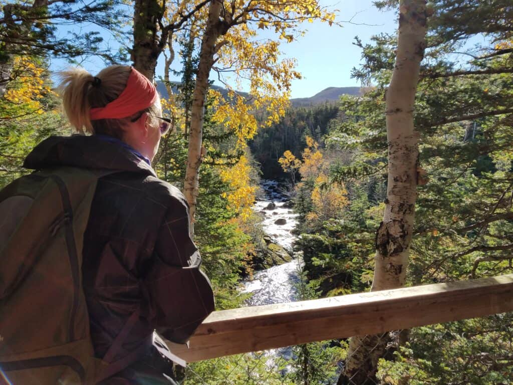 Transform Gros Morne Retreats 6