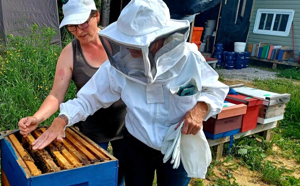 Transform Gros Morne Retreats 2