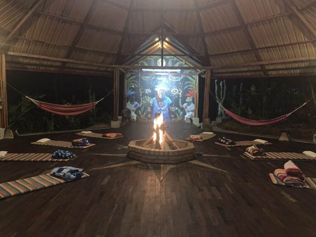 Ayahuasca Kindy Colibri 3