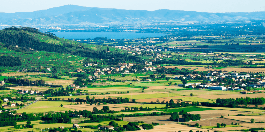 Agata Wholistic Touch 4