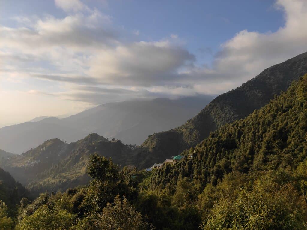 Mango Wisdom Wellness Ayurveda & Yoga