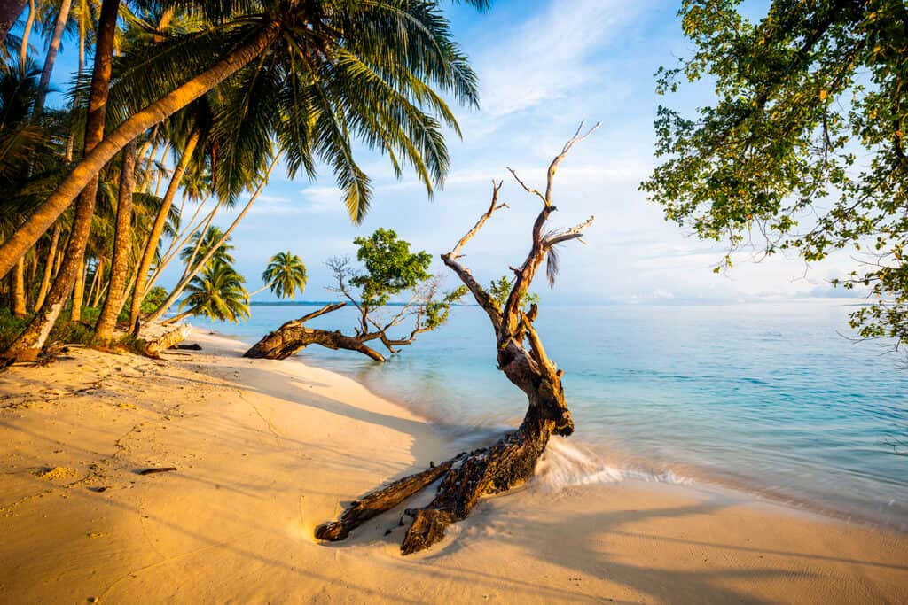 Pinang Island Tropical Paradise 3