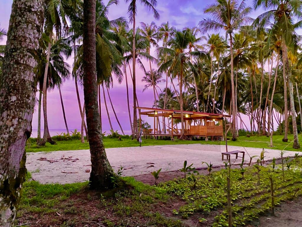 Pinang Island Tropical Paradise 5