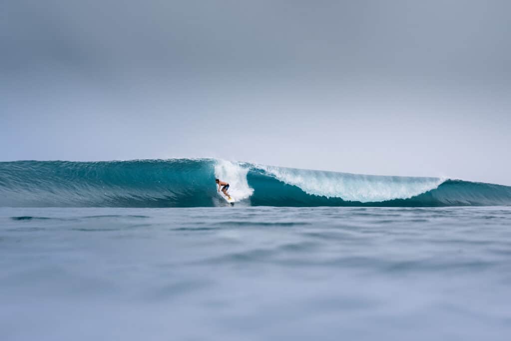 Pinang Island Tropical Paradise 6