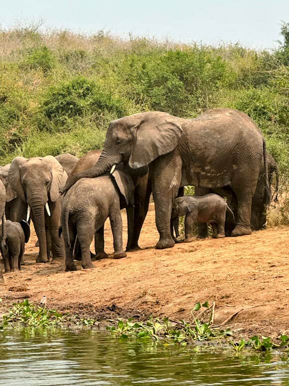 Deeper diving retreats, summits, & adventures, LLC 2