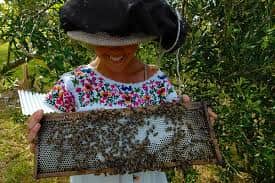 Aloha Ohana Sacred Retreat 2