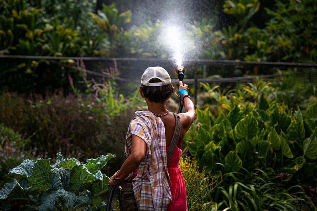 Aloha Ohana Sacred Retreat 6