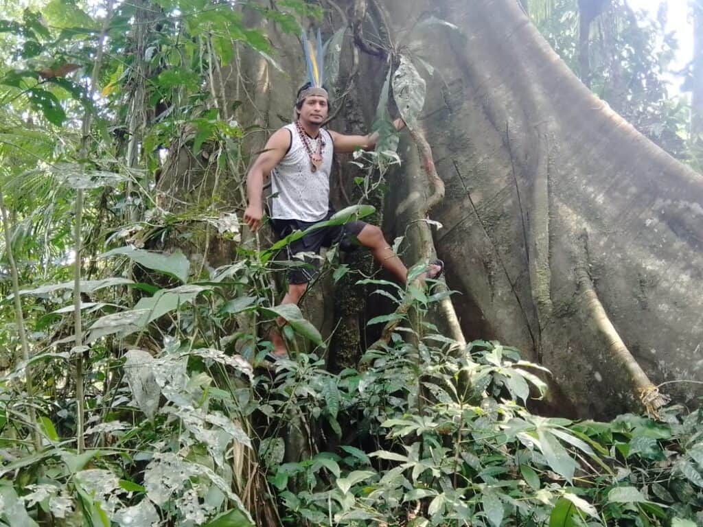 Whispers of the Jungle 1