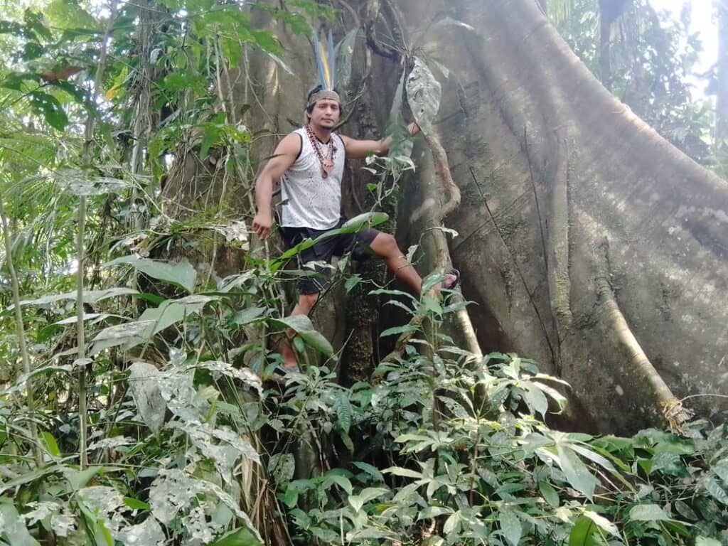 Whispers of the Jungle