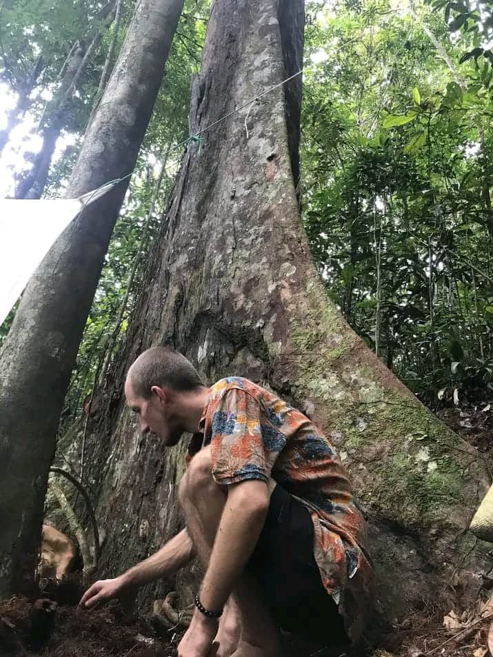 Whispers of the Jungle 7