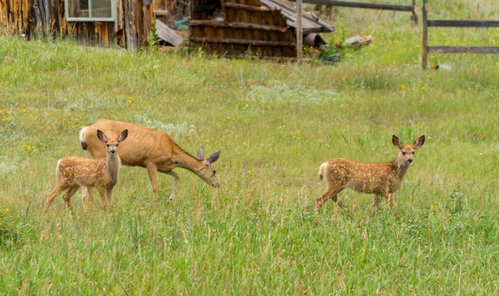 OpenVisions Retreats 6