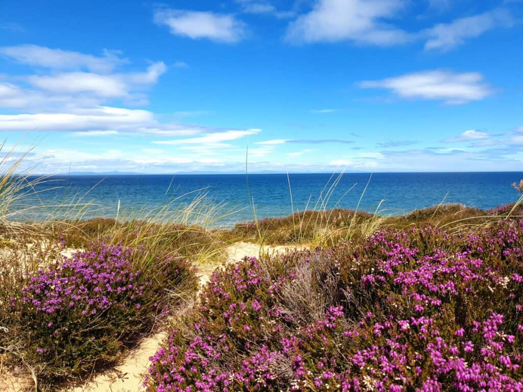 Ecovillage Findhorn 1