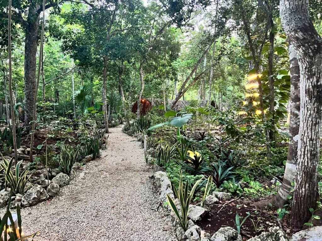 Healing Ceremonies Mexico 5