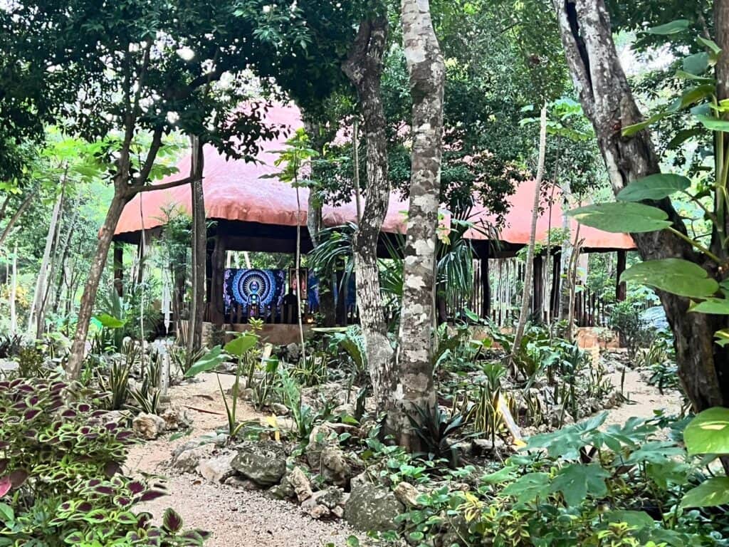 Healing Ceremonies Mexico 3