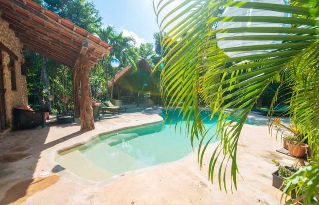 Priyananda Shaktipat 2