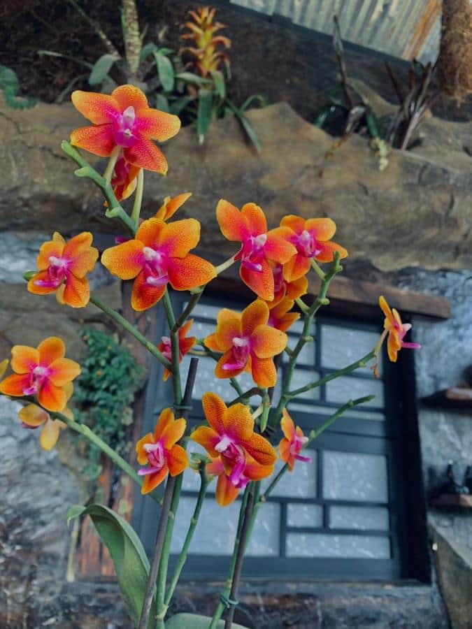 The Vault Retreats 3