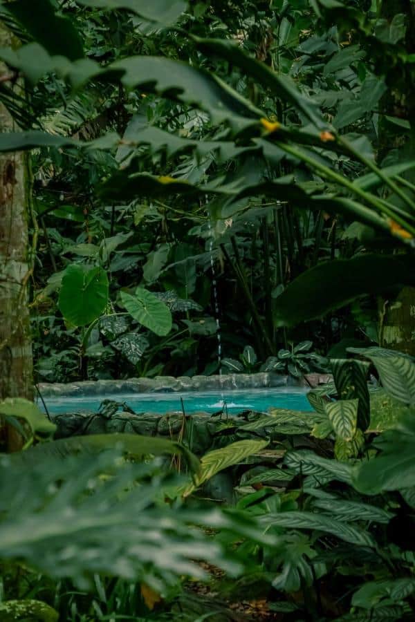 The Vault Retreats 6