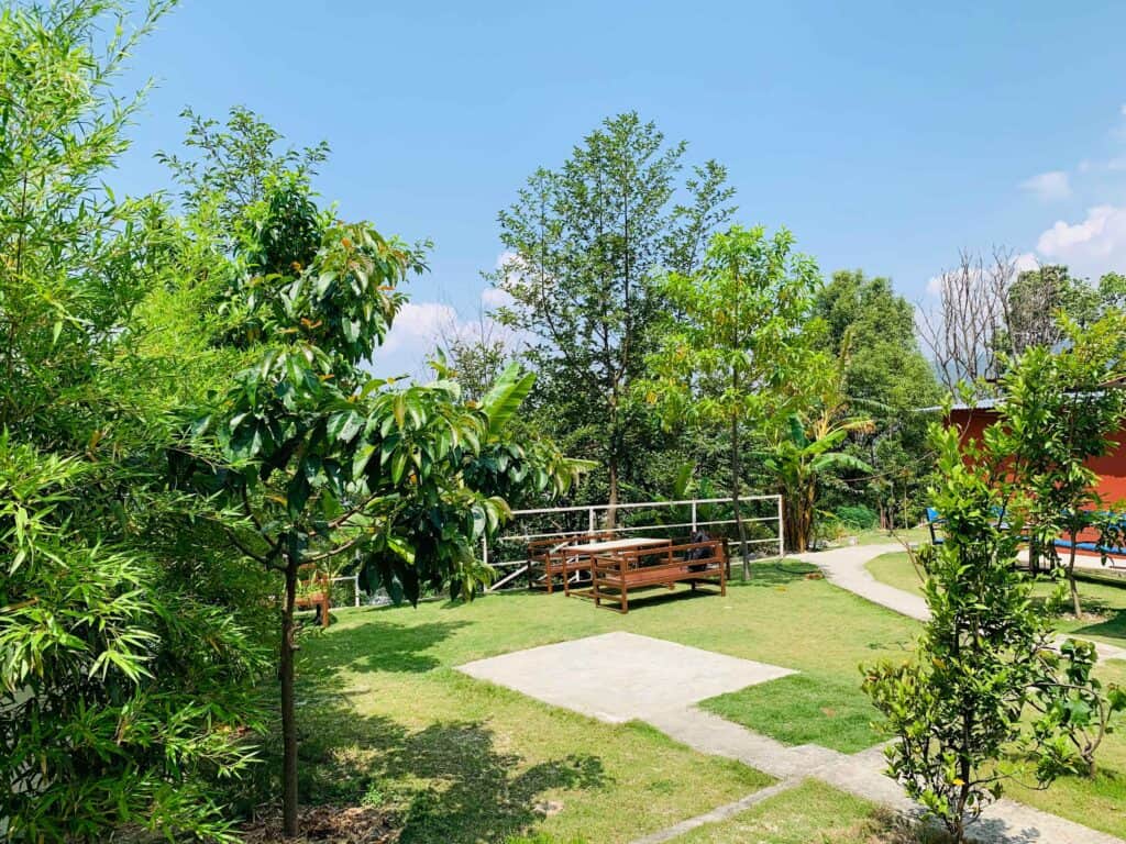 Pragya Yoga School 6