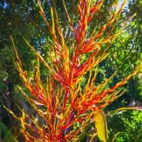 Kirpal Meditation and Ecological Center 8