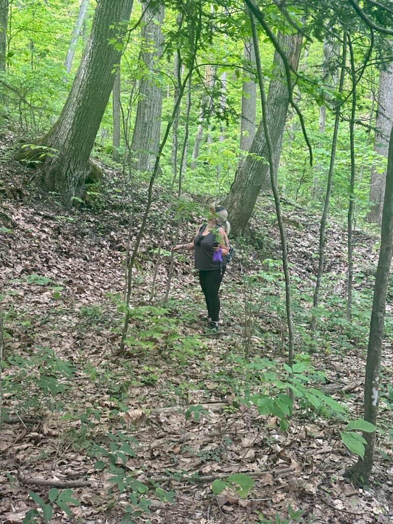 Whimsical Wellness LLC 2