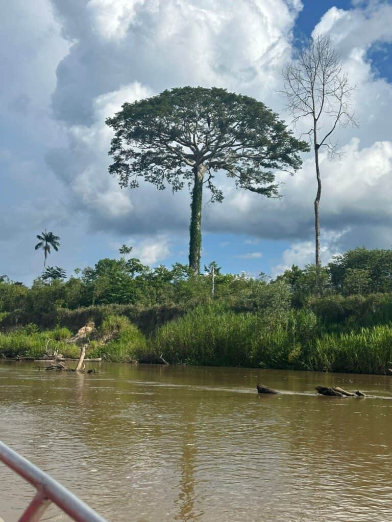 Yawanawa Mutum Village 8