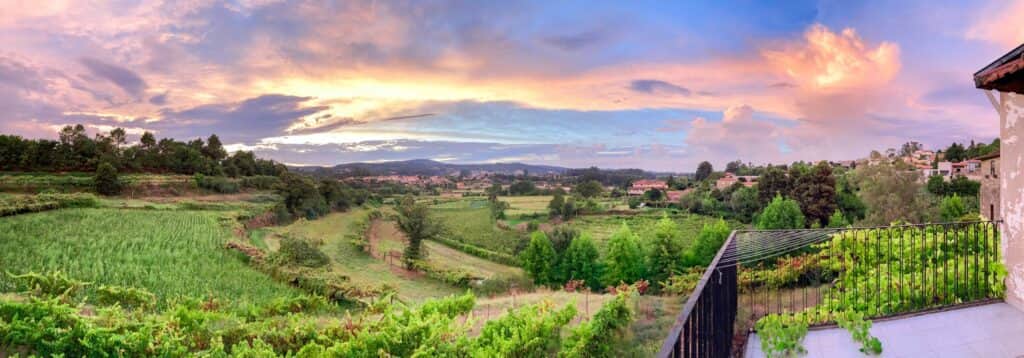 The Court Of Cavalum 3