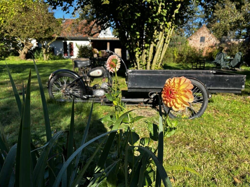 Ayurvedic Panchakarma Wellness Retreat