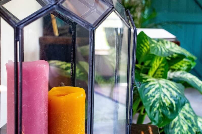 Ayurvedic Panchakarma Wellness Retreat 3