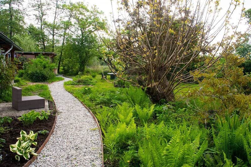 Ayurvedic Panchakarma Wellness Retreat 8