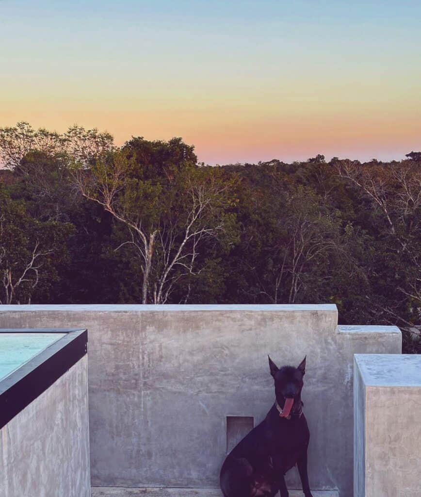 Sports Tulum Retreats 6