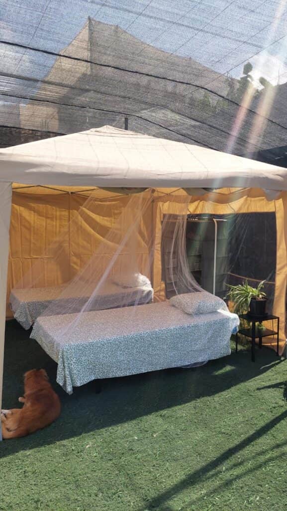 Panoramix Tenerife 2