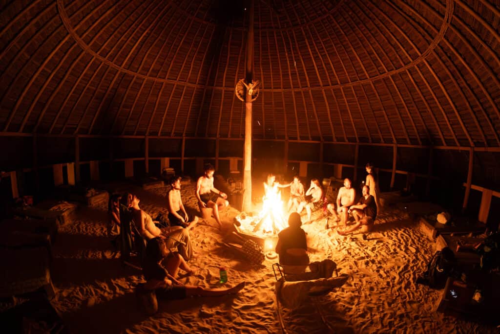 Psychonauta Foundation 5