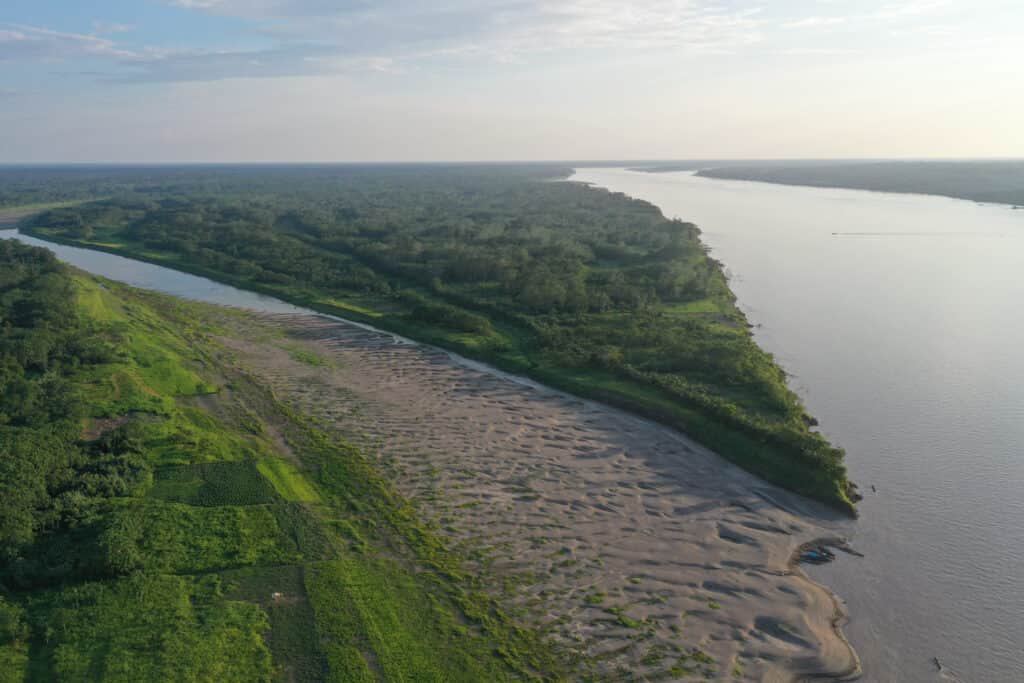 Psychonauta Foundation 8