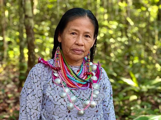 Psychonauta Foundation 6