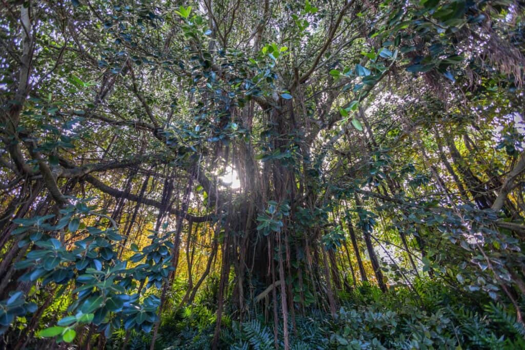 Your Sanctuary Retreat 6