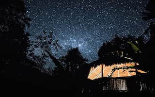 The Garden of Peace, Ayahuasca & Master Plant Center 7