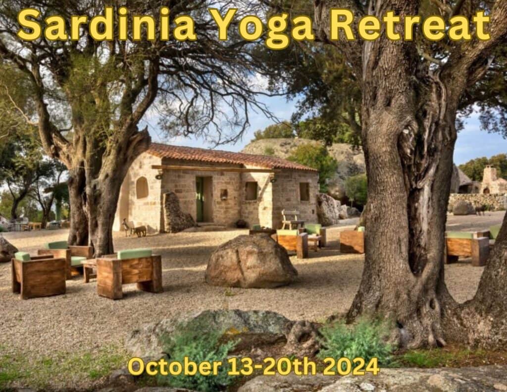 Viveka Yoga & Ayurveda 1