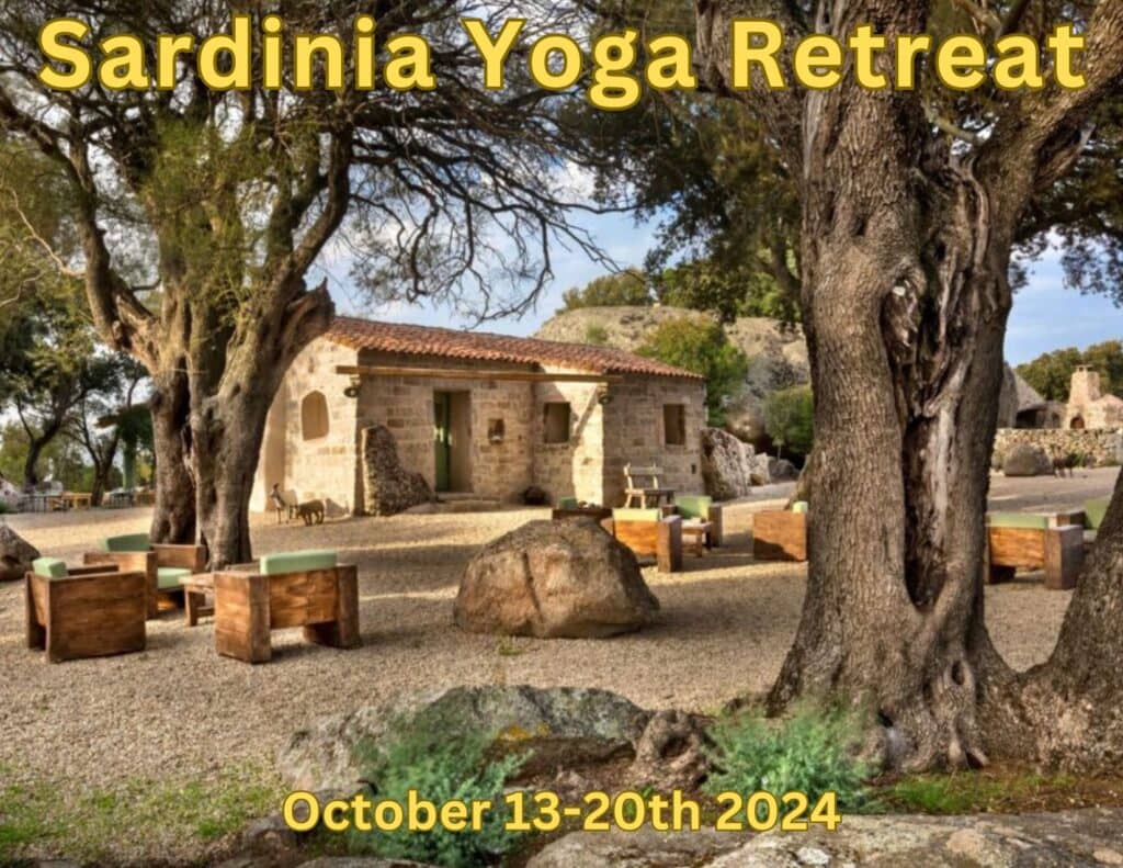 Viveka Yoga & Ayurveda