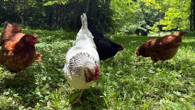 Domaine de Gargoris 7