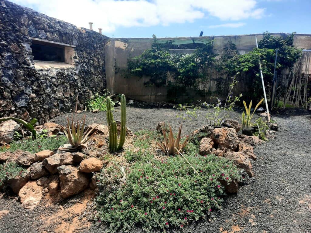 Dóra La Cuidadora 3