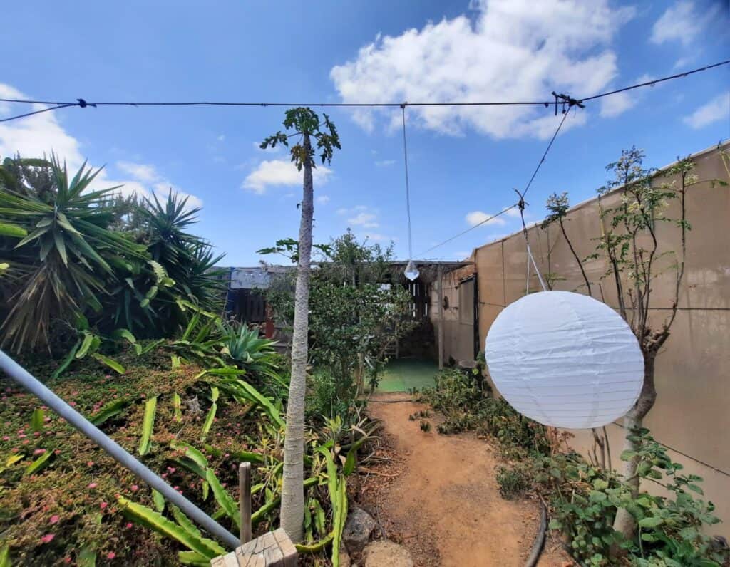 Dóra La Cuidadora 5