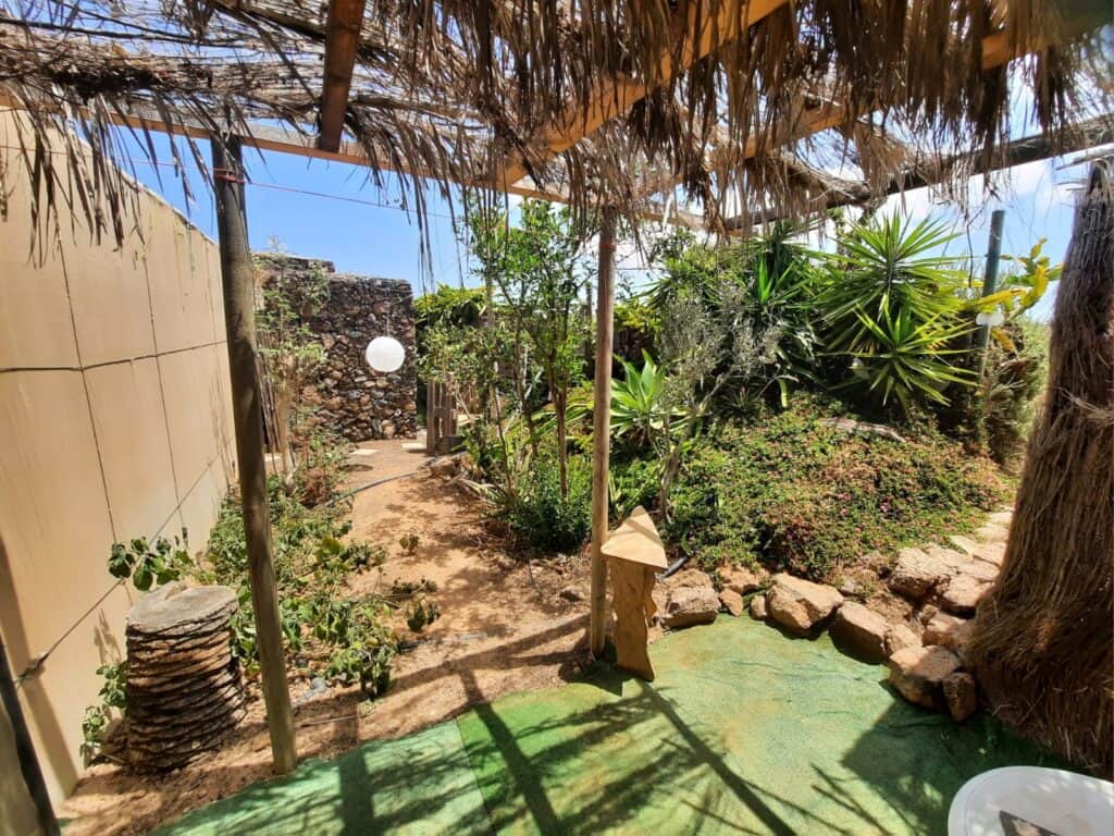 Dóra La Cuidadora 4