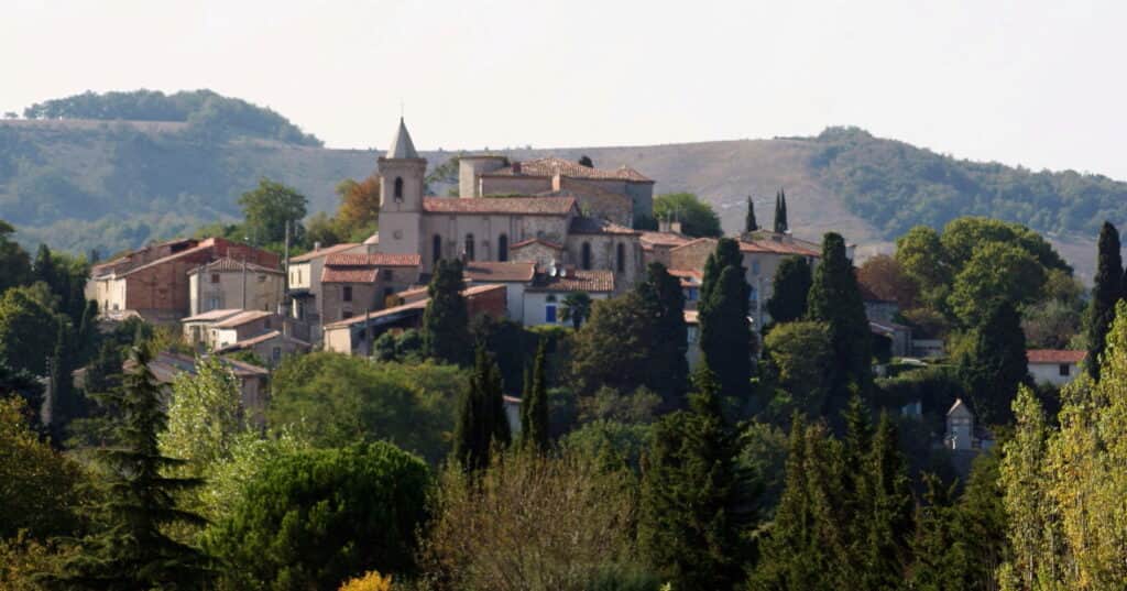 Reconnecting with Nature 1