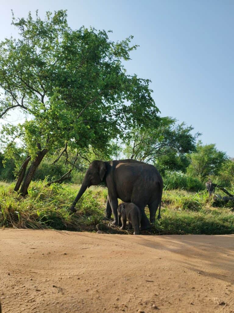 Lantern Yoga Retreats 2