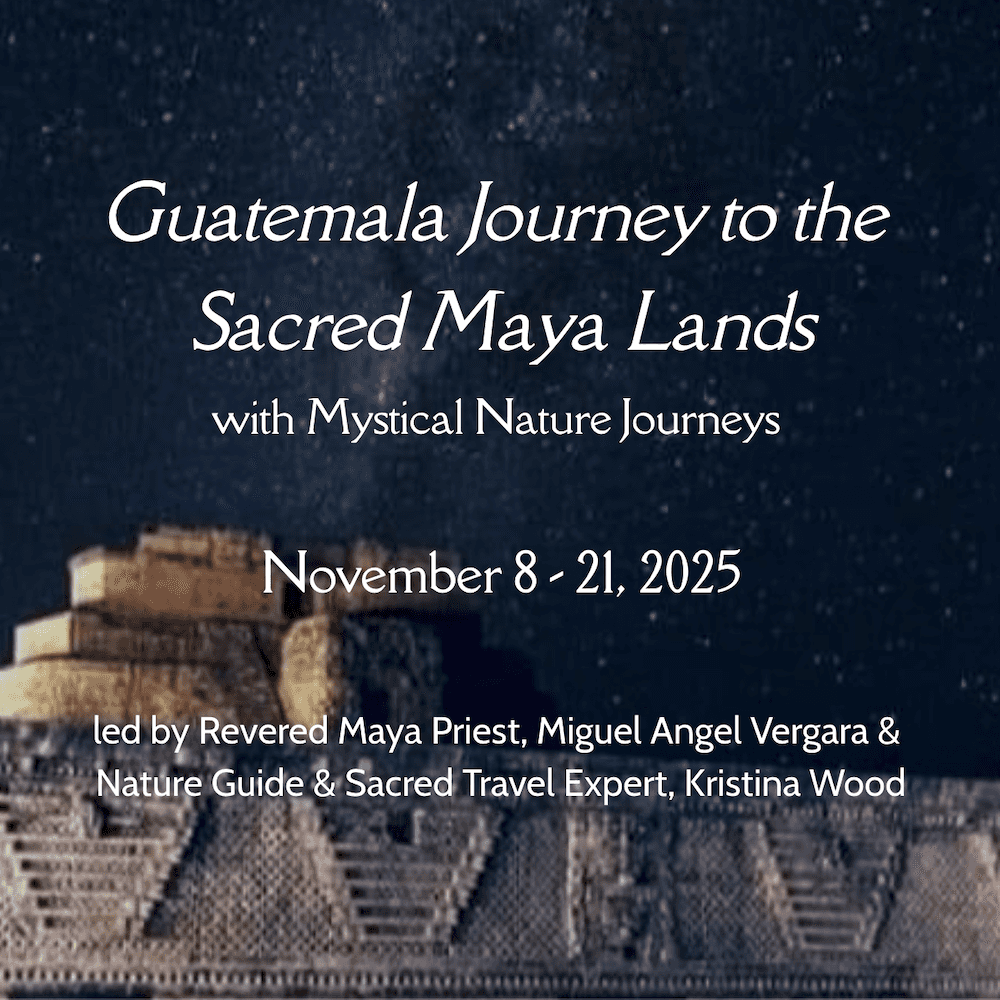 Mystical Nature Journeys 1