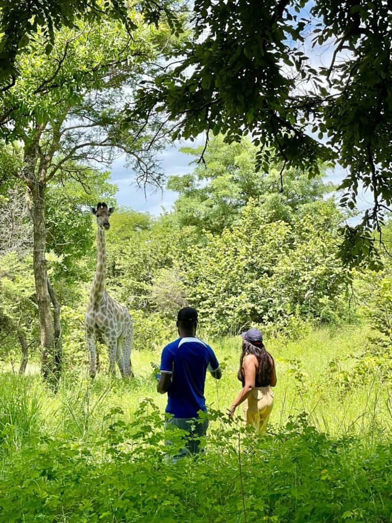 Silent Mindfulness retreat 3