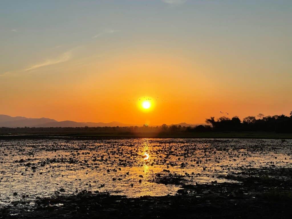 Silent Mindfulness retreat 7